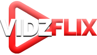 vidzflix.com