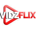 VidzFlix.com