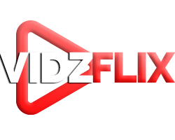 VidzFlix.com